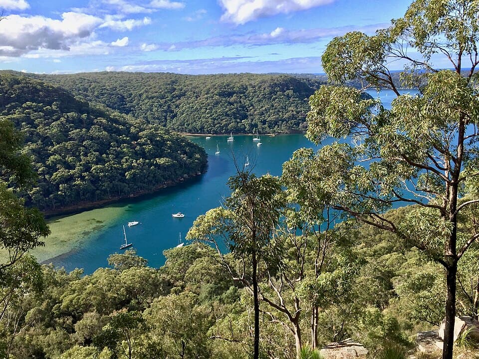 Ku-ring-gai Chase National Park
